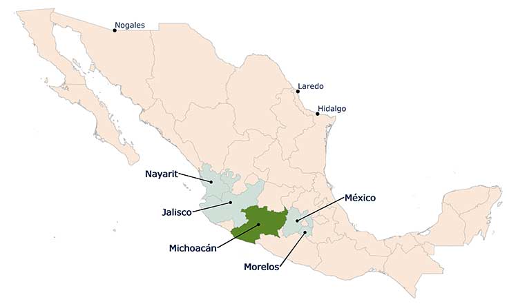 Avocado Growing States. Mexico