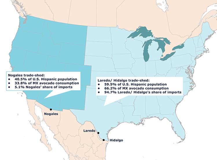 Mexican avocados U.S. market trade sheds