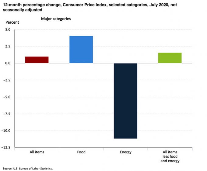Exhibit 1: 12-month percent change, Consumer Price Index, Selected Categories, July 2020, not Seasonally Adjusted