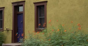 green house in Tucson