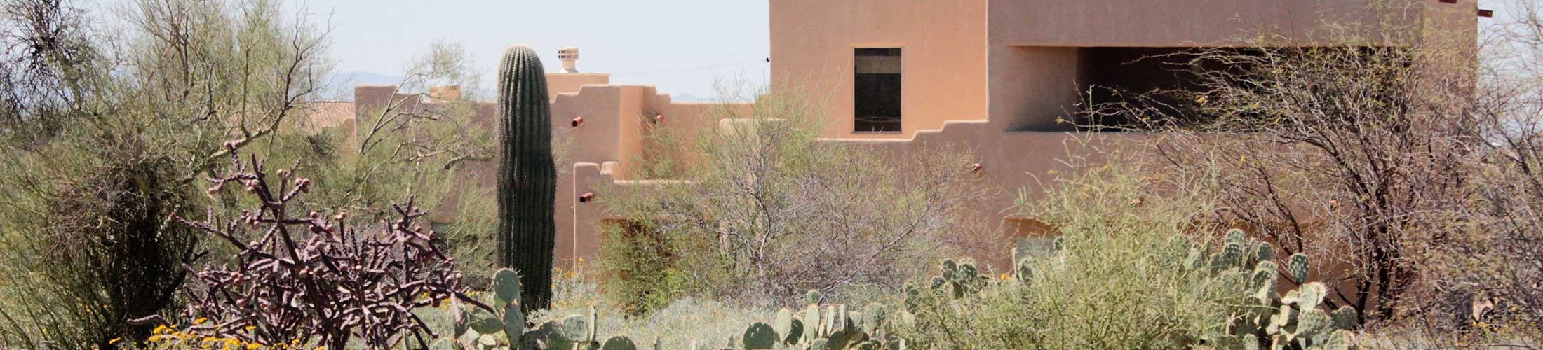 house in Arizona with cactus