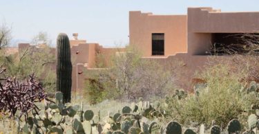 house in Arizona with cactus