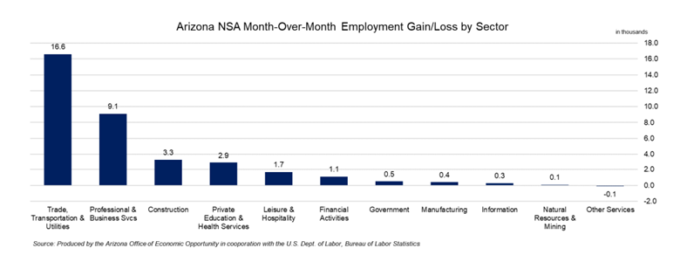 Arizona NSA Month-Over-Month Employment Gain/Loss by Sector