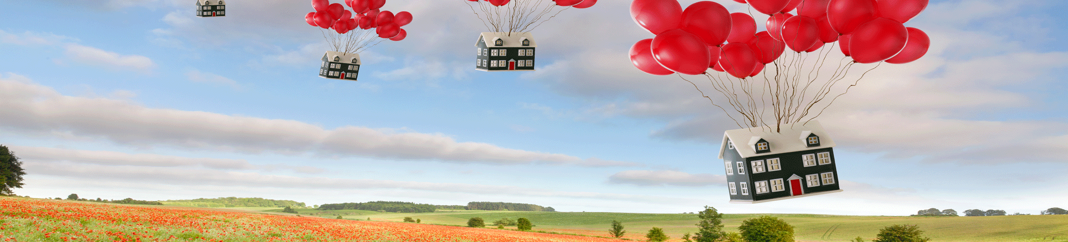 Houses floating balloons field
