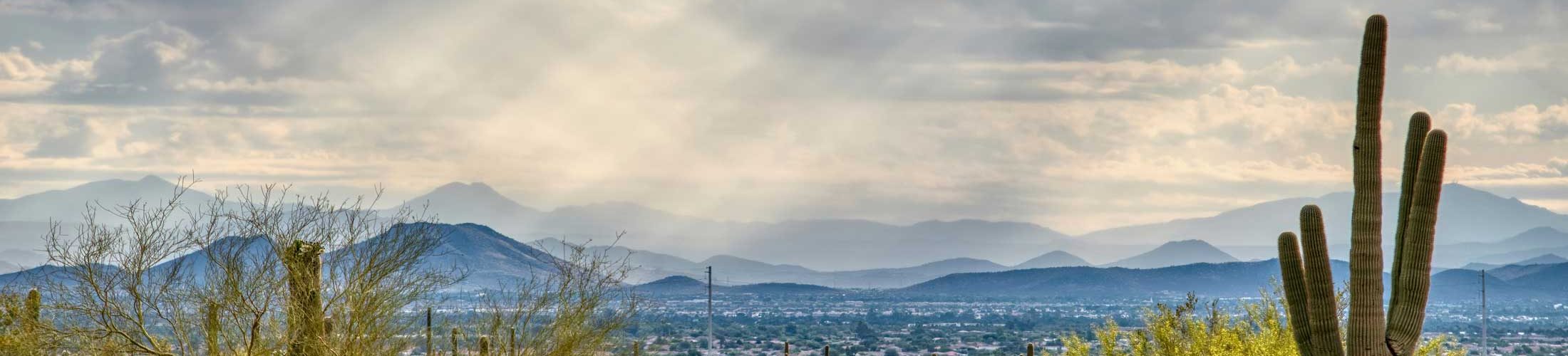 Cactus desert clouded skyline