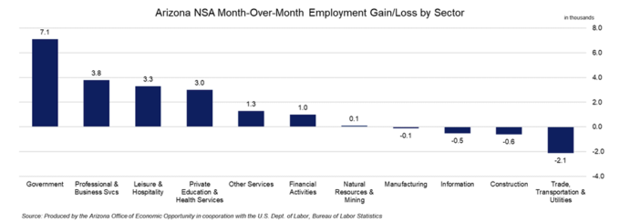 Arizona NSA Month-Over-Month Employment Gain/Loss by Sector